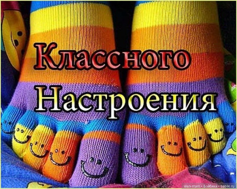носки носки