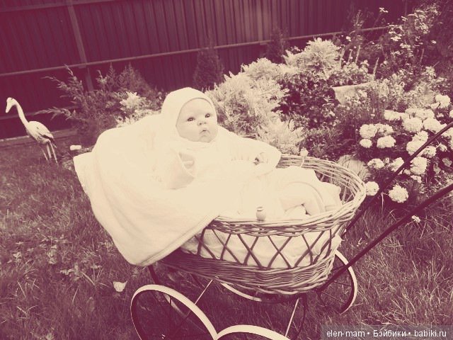 Фотографии из семейного альбома (фото 10)