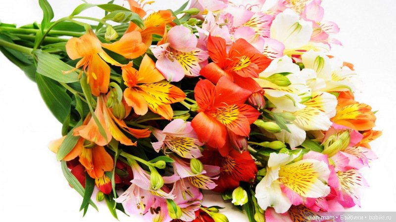 Закрытие флешмоба "Моя кукла - модница!". Церемония награждения