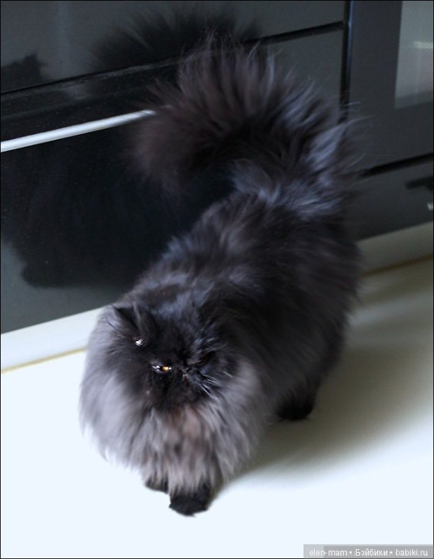 Закрытие флешмоба "Моя кукла - модница!". Церемония награждения (фото 10)