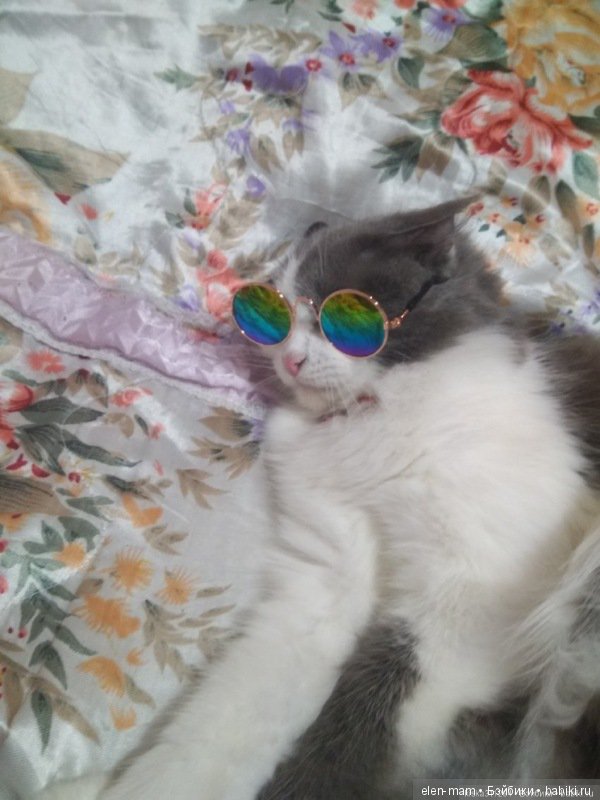 Закрытие флешмоба "Моя кукла - модница!". Церемония награждения