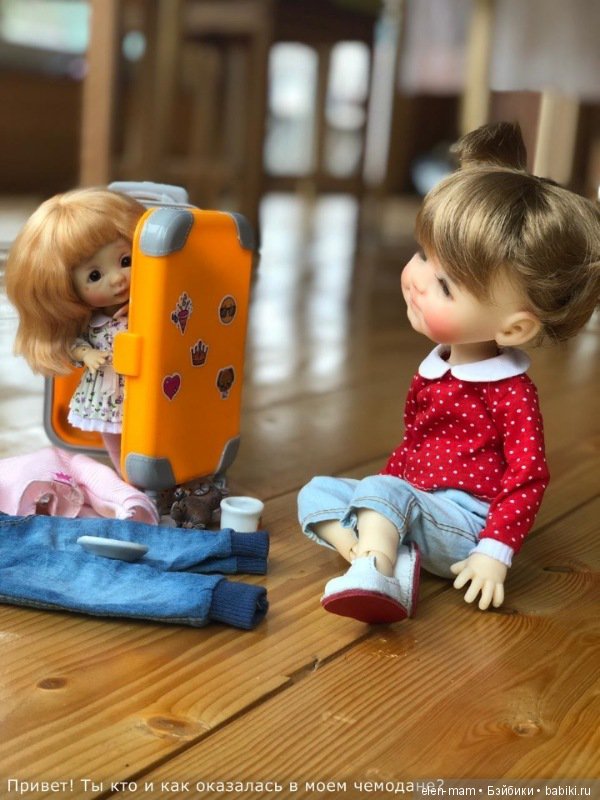 чемоданная история