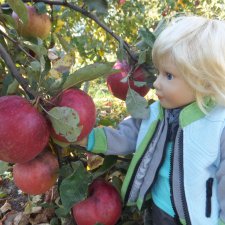 Яблочный аромат.  И мои куклы