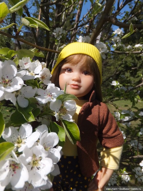 Вилли Химштедт. Старший брат