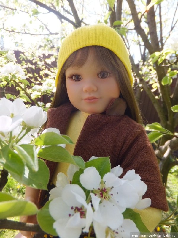 Вилли Химштедт. Старший брат