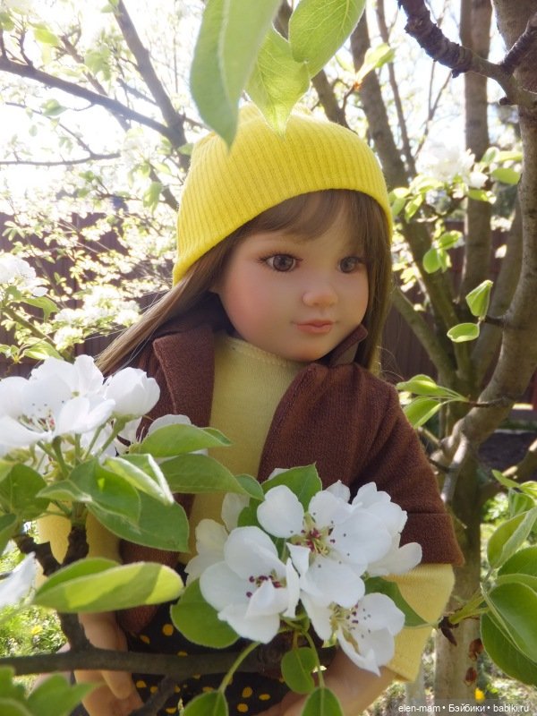 Вилли Химштедт. Старший брат