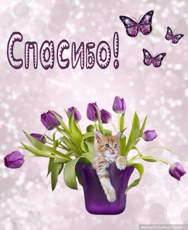 Спонтанная прогулка и отличное настроение