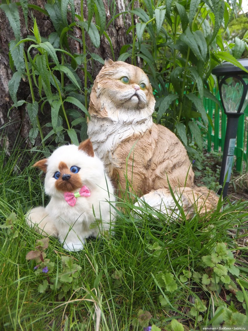 Ребята и котята. Kidz'n'Cats (фото 3)