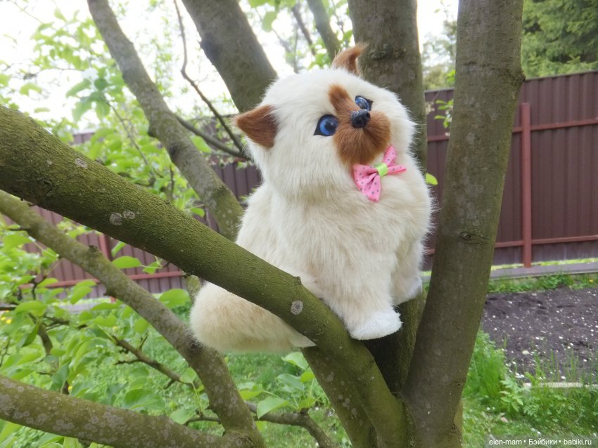 Ребята и котята. Kidz'n'Cats (фото 2)