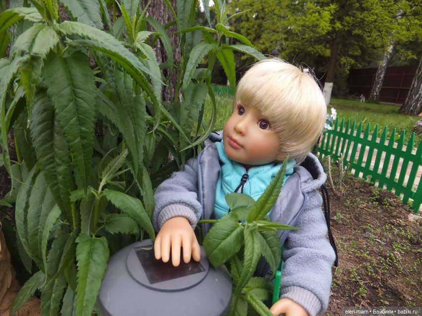 Ребята и котята. Kidz'n'Cats (фото 4)