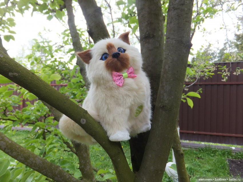 Ребята и котята. Kidz'n'Cats