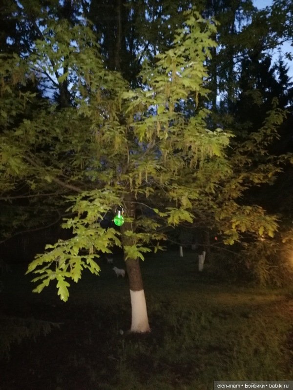 Ребята и котята. Kidz'n'Cats