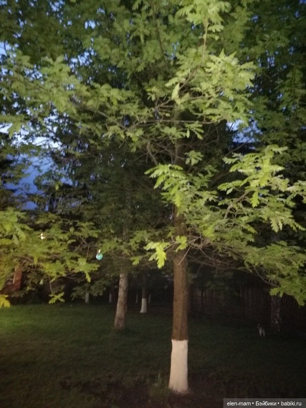 Ребята и котята. Kidz'n'Cats