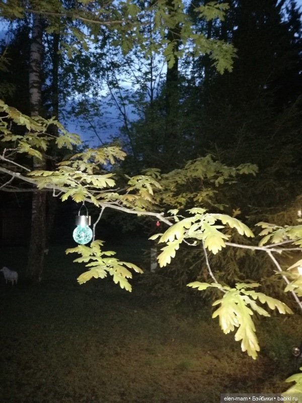 Ребята и котята. Kidz'n'Cats