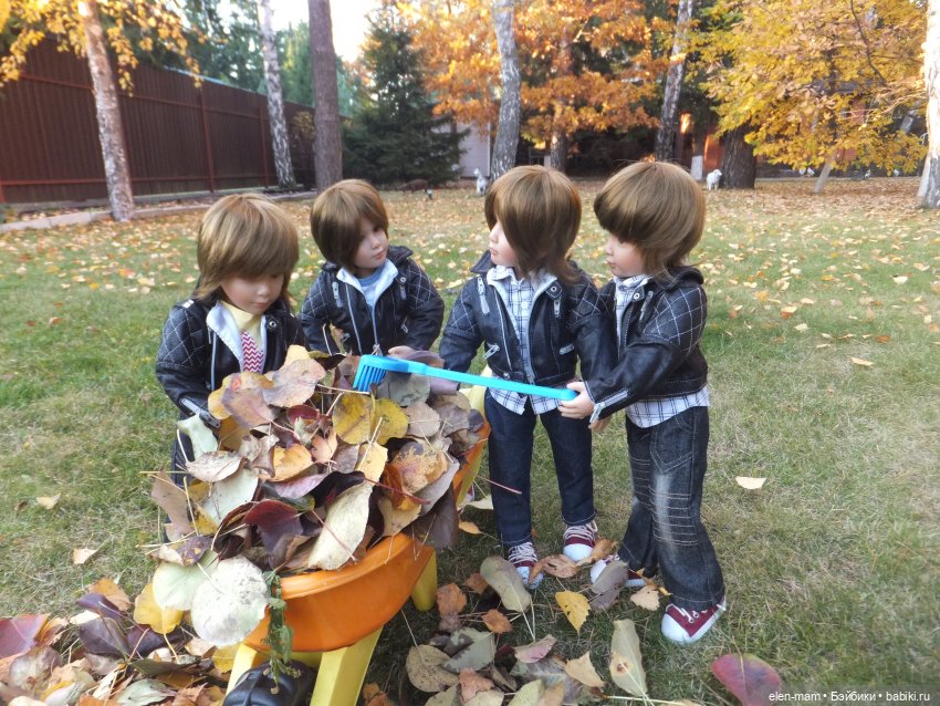 осенняя листва