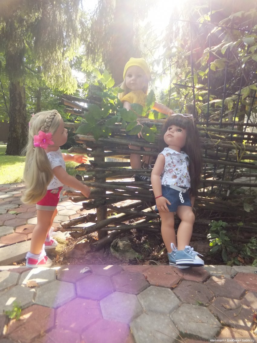 трио, плетень