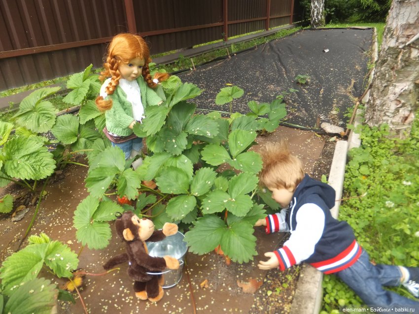 кидз и клубника