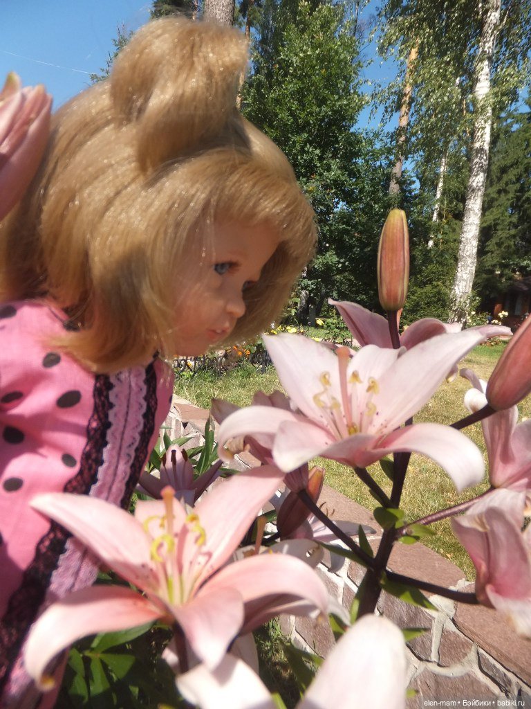 Долой гаджеты! Играем на свежем воздухе! Куклы и мы