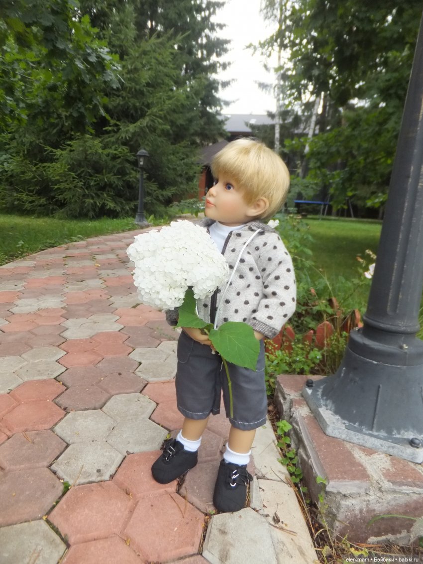 цветы