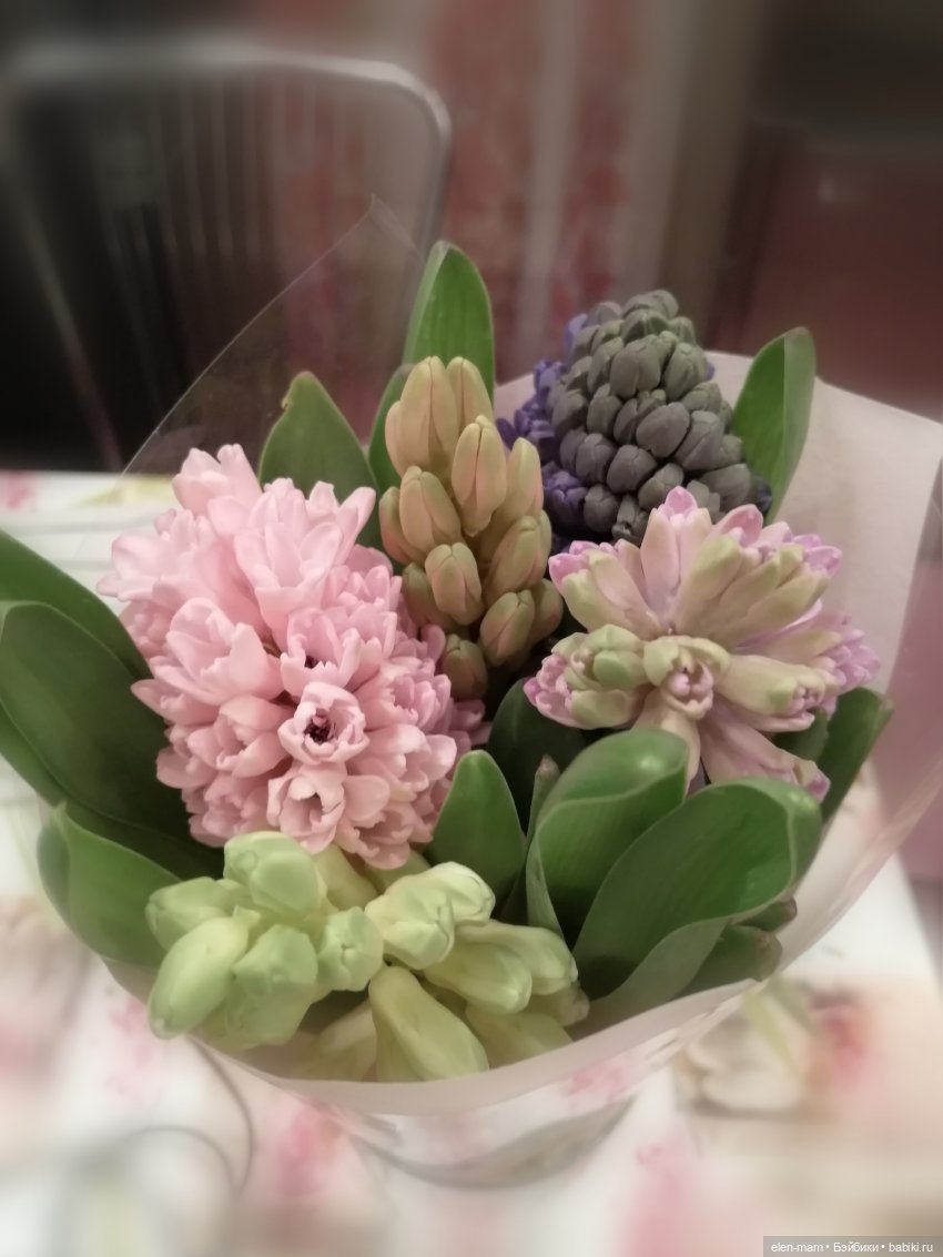 Посвящается Весне! И куклам. Chosen Gotz