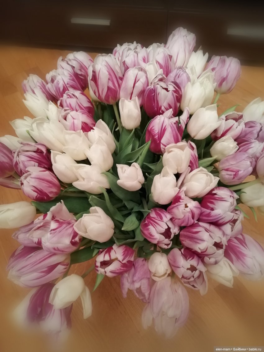 Посвящается Весне! И куклам. Chosen Gotz (фото 2)