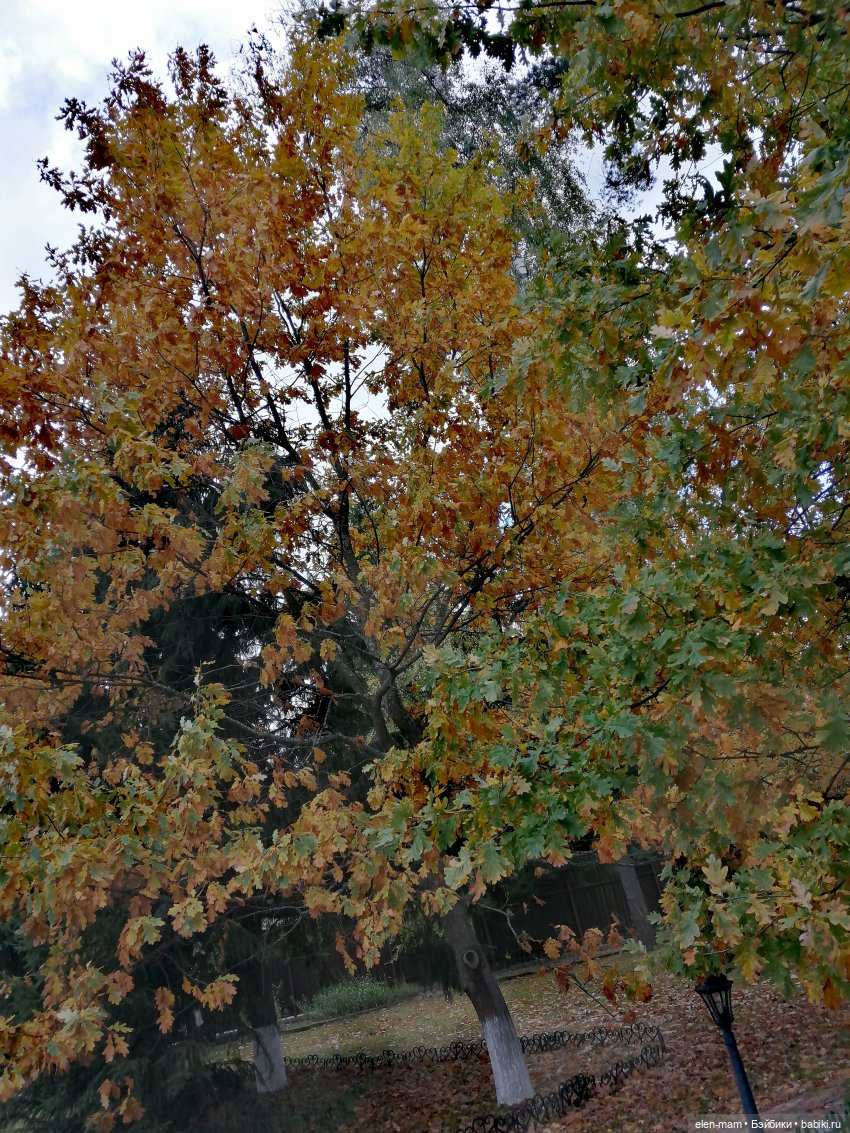 Ромашка🌼🌼🌼Paola Reina ООАК