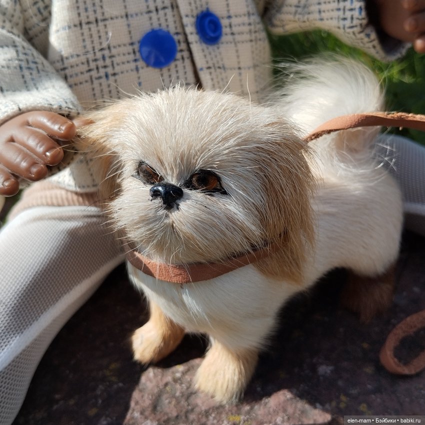 Моя Бонита🌹Carmen Gonzalez doll