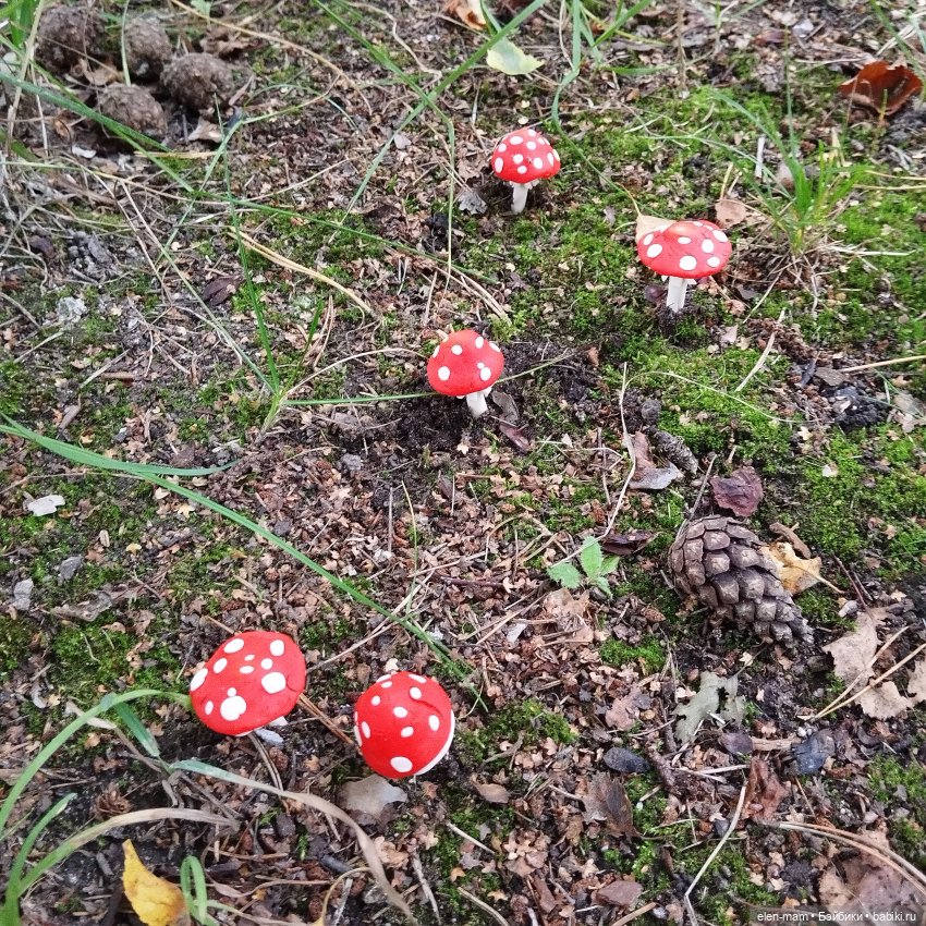 Мухоморы
