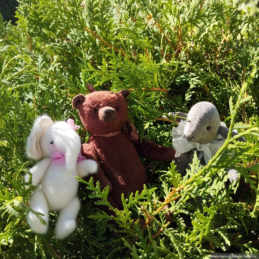 Белорусские каникулы(◕‿◕✿)1-я часть