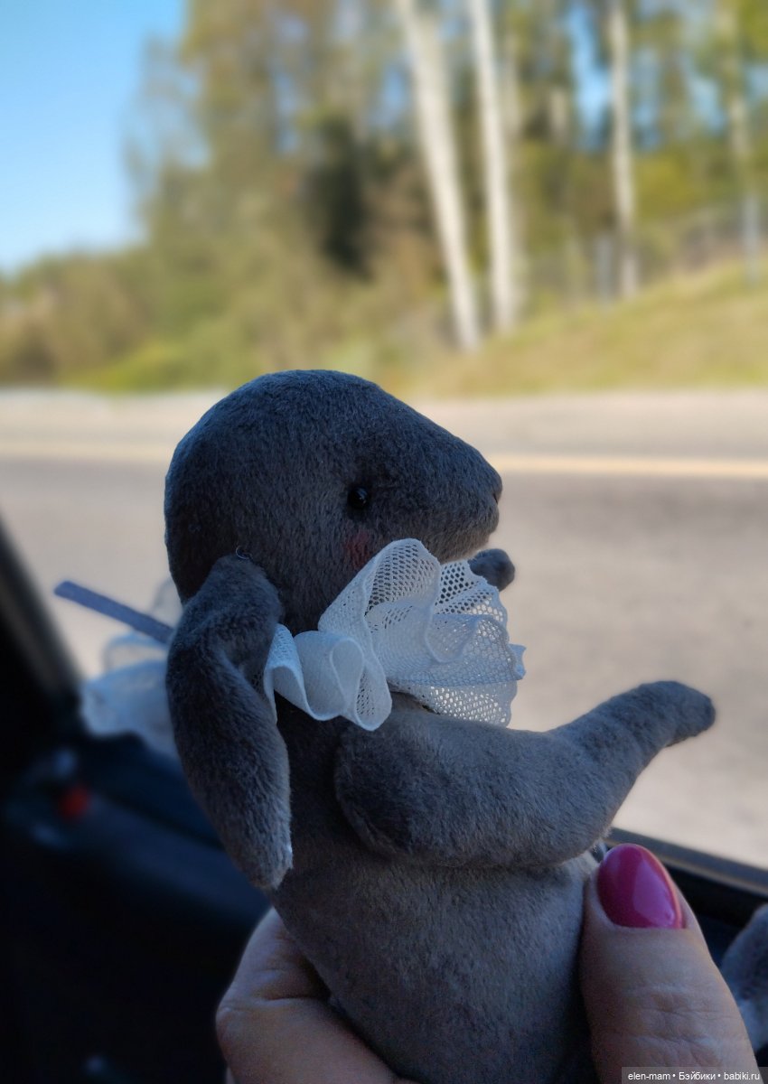 Белорусские каникулы(◕‿◕✿)1-я часть (фото 7)