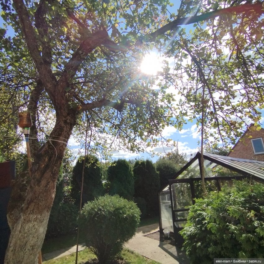 Белорусские каникулы(◕‿◕✿)1-я часть