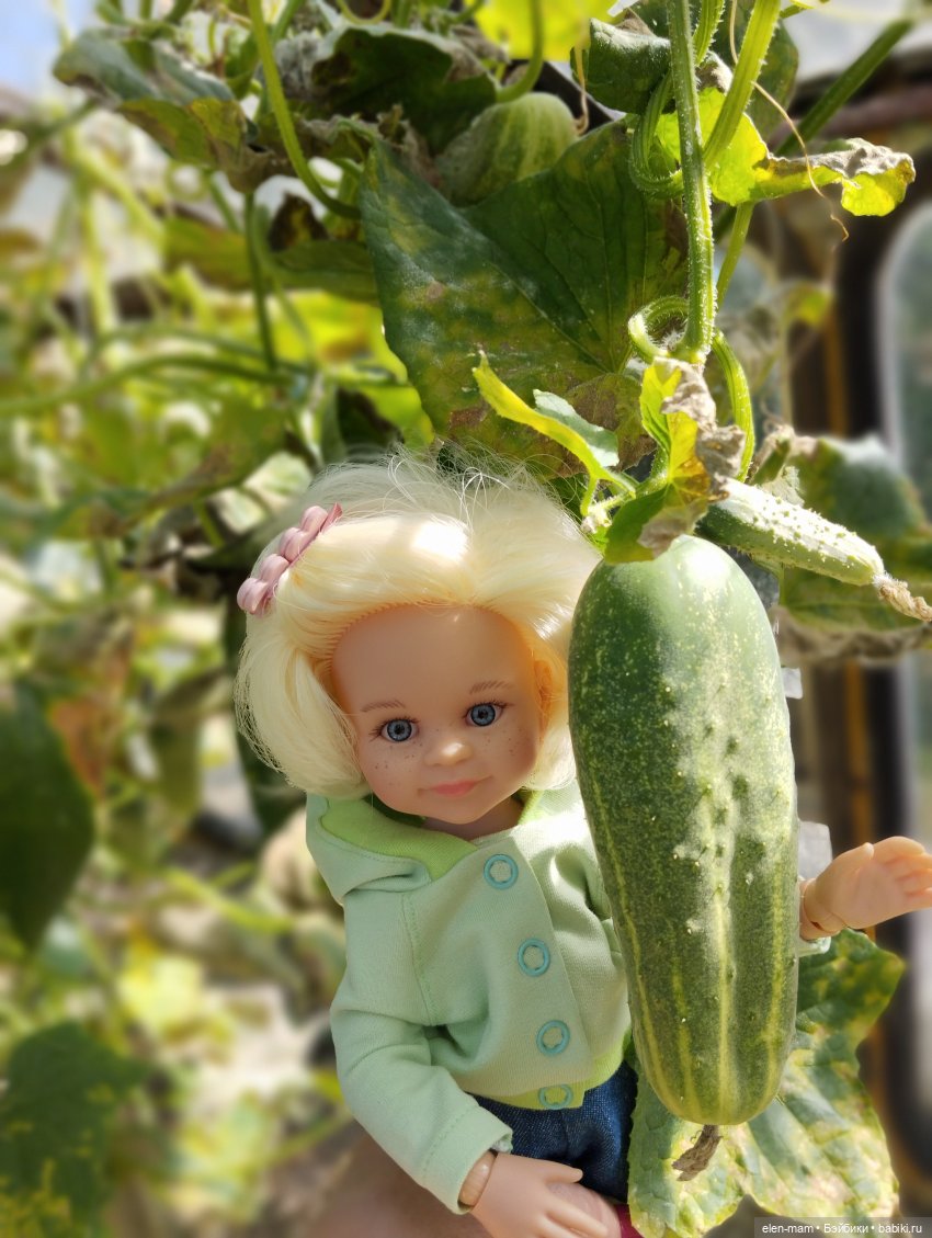 Белорусские каникулы(◕‿◕✿)2-я часть