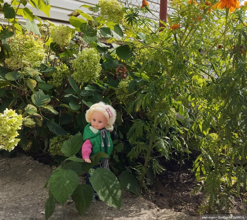 Белорусские каникулы(◕‿◕✿) 4-я часть