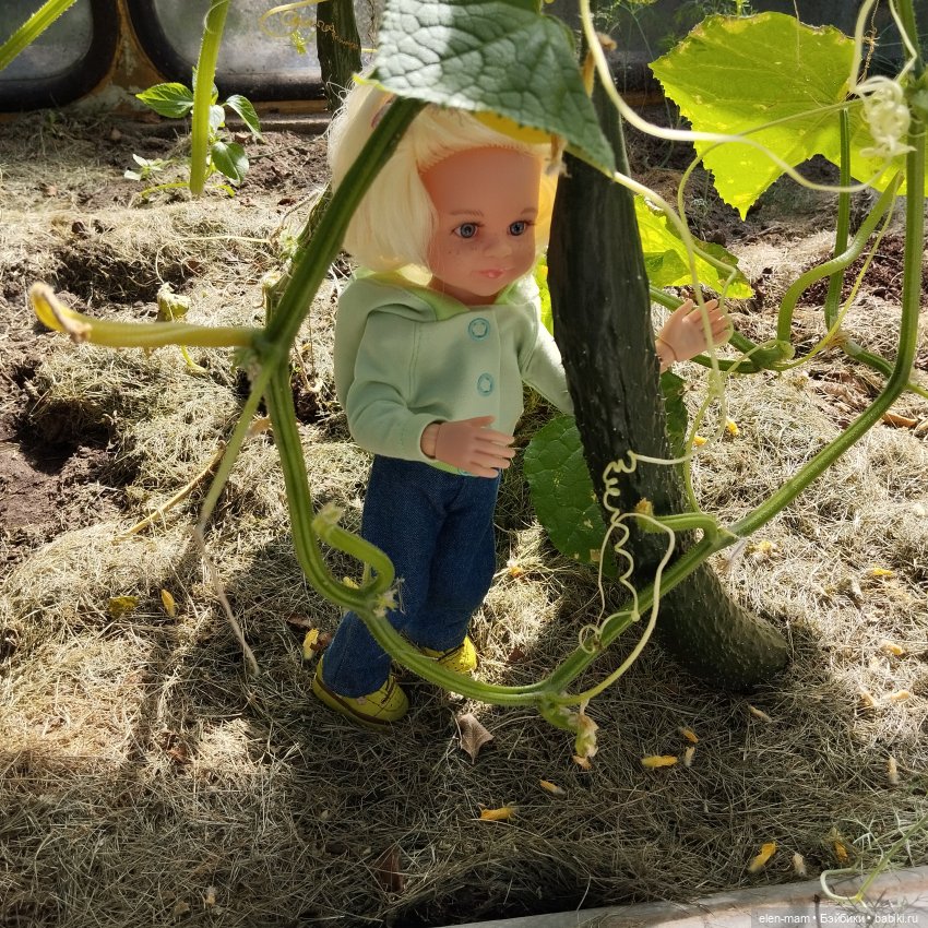 Белорусские каникулы(◕‿◕✿)2-я часть