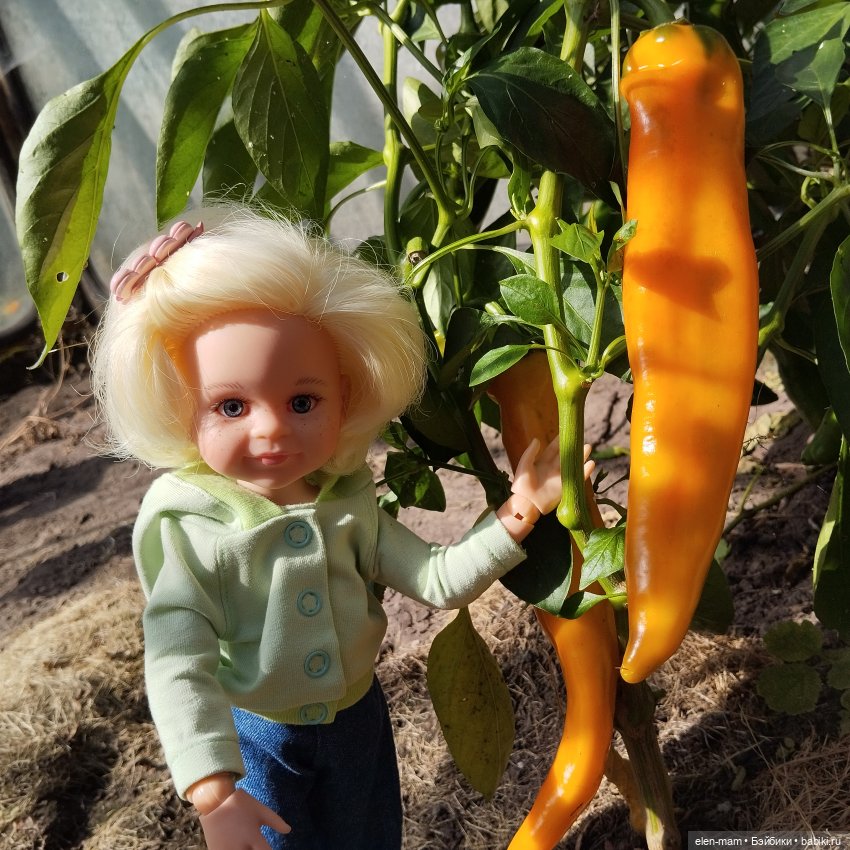 Белорусские каникулы(◕‿◕✿)2-я часть