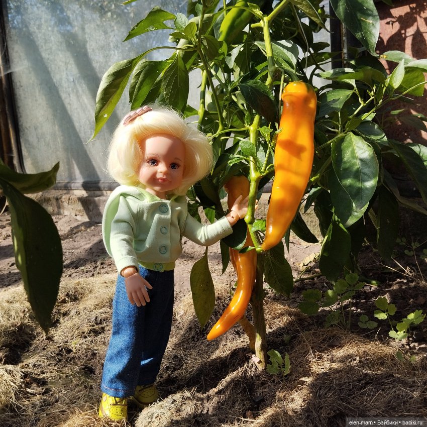 Белорусские каникулы(◕‿◕✿)2-я часть