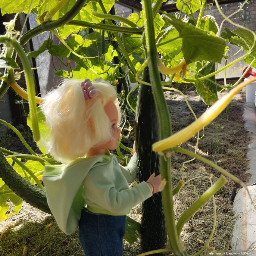 Белорусские каникулы(◕‿◕✿)2-я часть