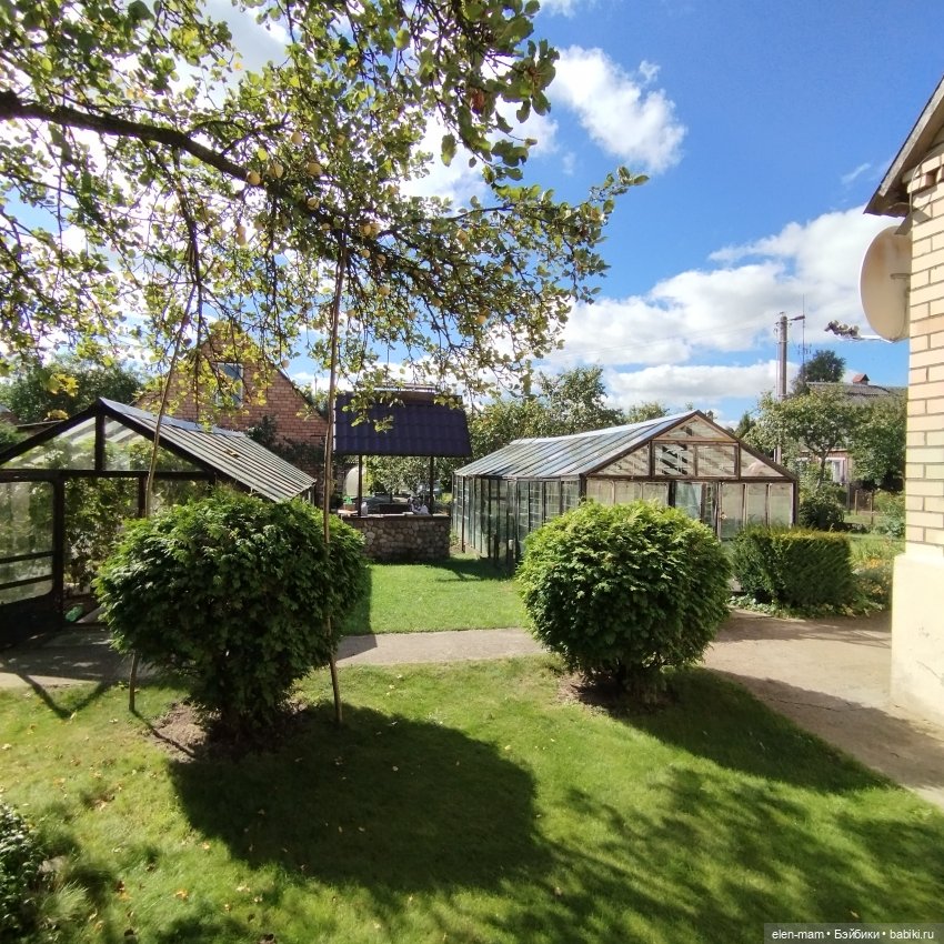 Белорусские каникулы(◕‿◕✿)2-я часть (фото 2)