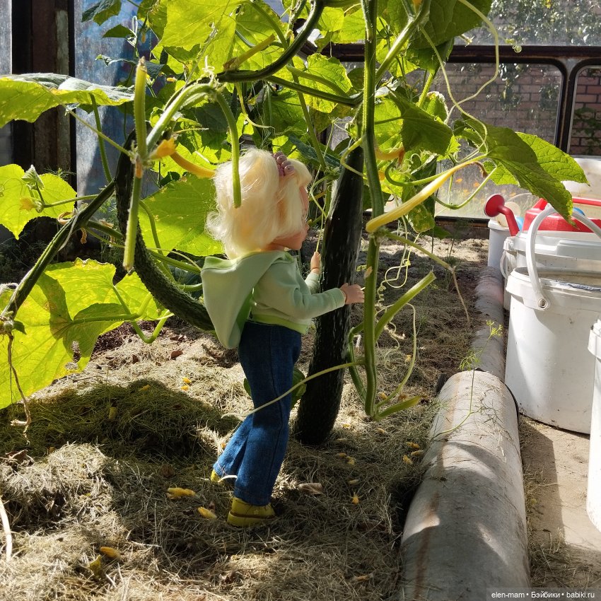 Белорусские каникулы(◕‿◕✿)2-я часть