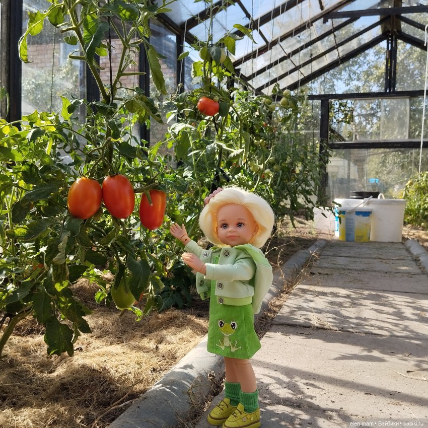 Белорусские каникулы(◕‿◕✿)2-я часть (фото 6)