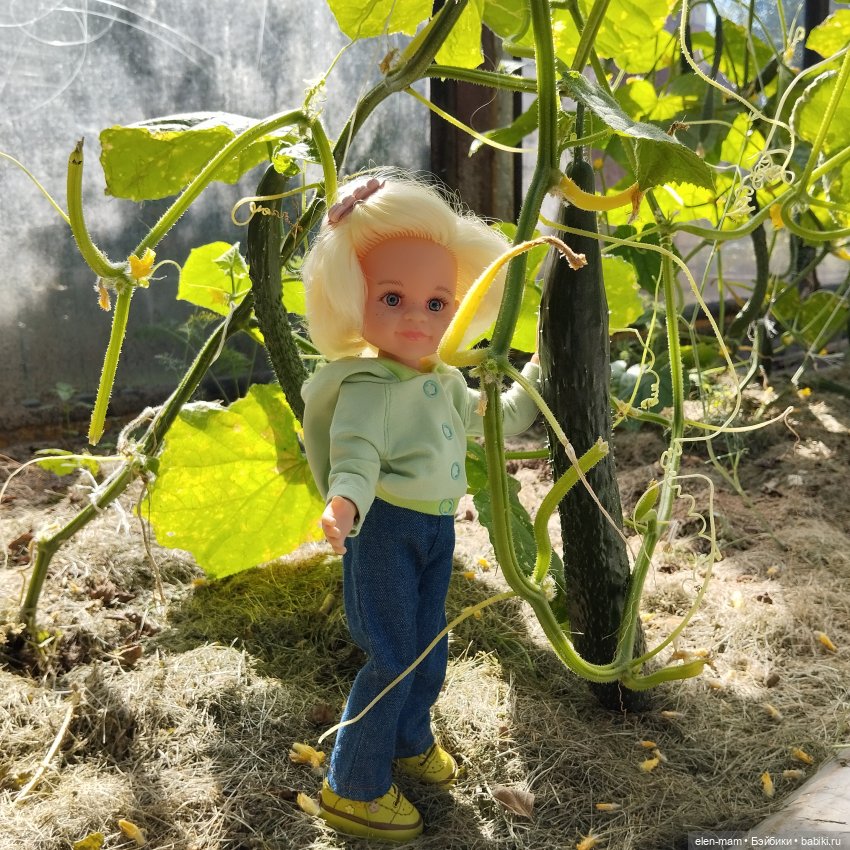 Белорусские каникулы(◕‿◕✿)2-я часть