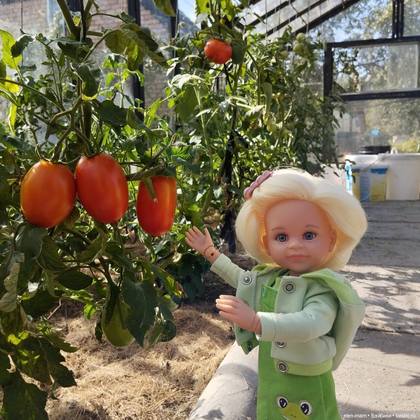 Белорусские каникулы(◕‿◕✿)2-я часть (фото 3)