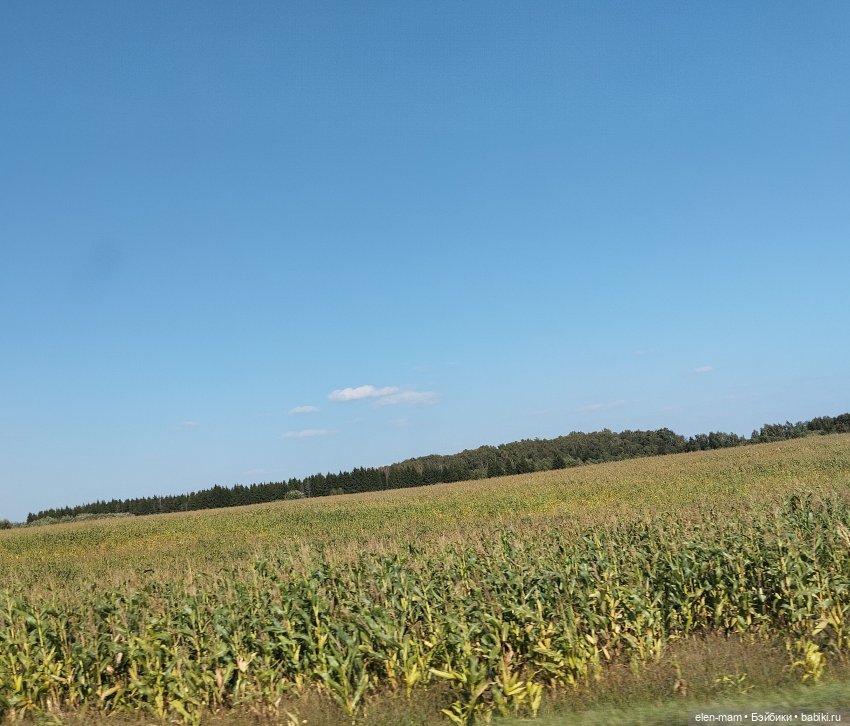 Белорусские каникулы(◕‿◕✿) 4-я часть