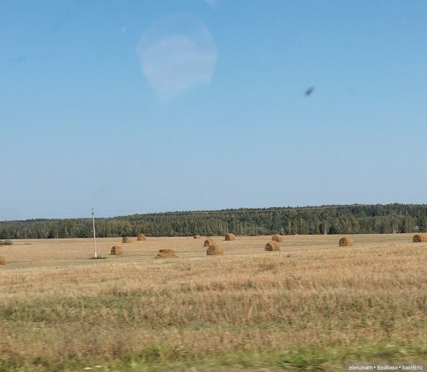 Белорусские каникулы(◕‿◕✿) 4-я часть