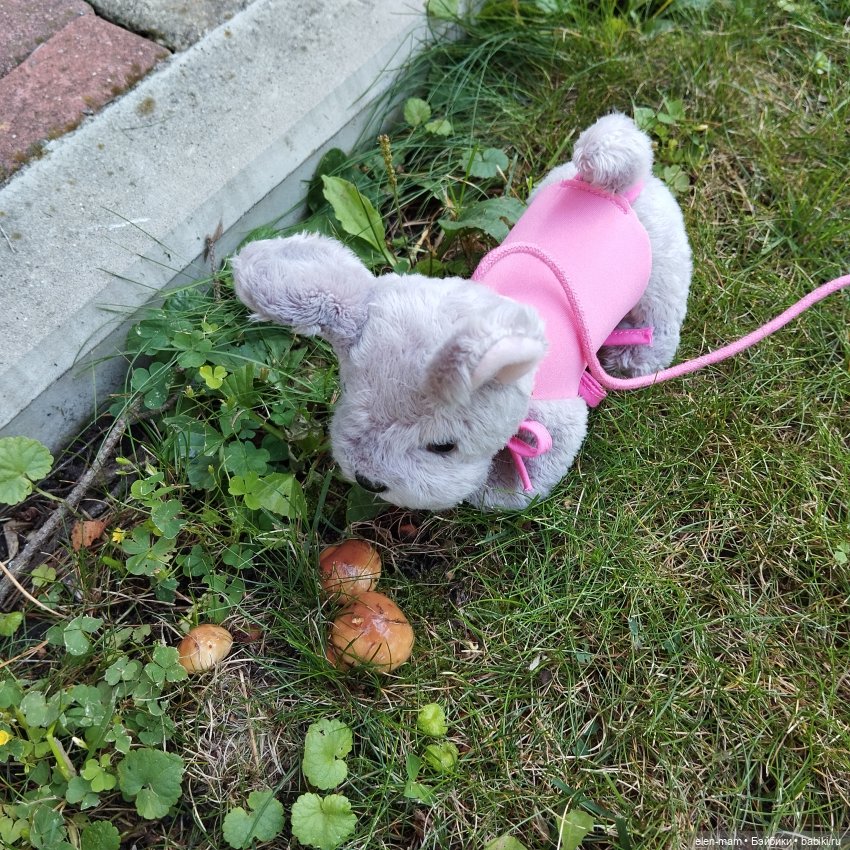 🍁🌼🍂Сентябрьский день🍂🌼🍁 — Куклы Antonio Juan (Антонио Хуан): реалистичные пупсы (фото 5)