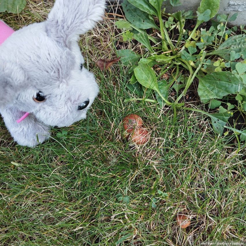 🍁🌼🍂Сентябрьский день🍂🌼🍁 — Куклы Antonio Juan (Антонио Хуан): реалистичные пупсы (фото 8)