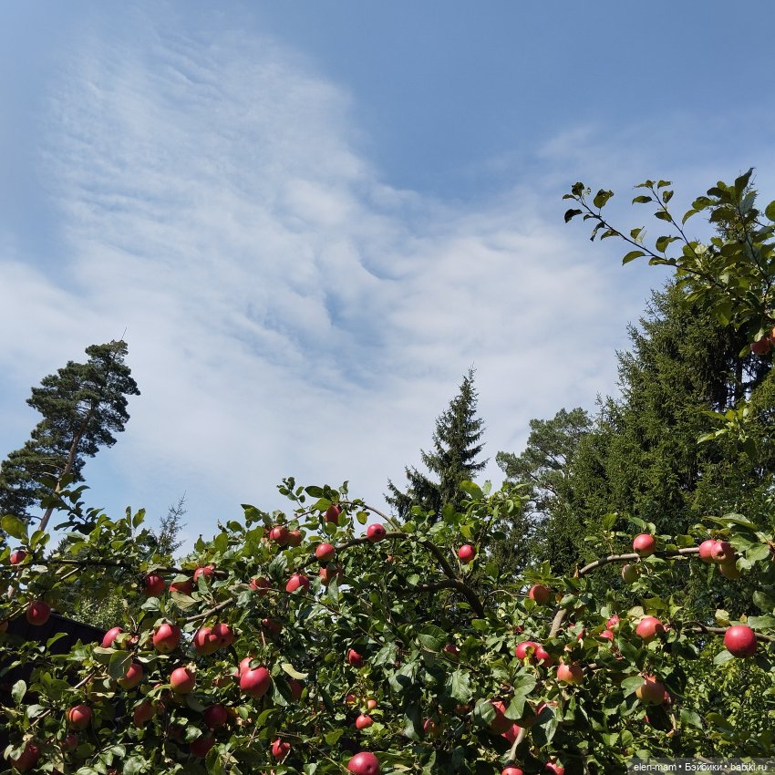 🍁🌼🍂Сентябрьский день🍂🌼🍁 — Куклы Antonio Juan (Антонио Хуан): реалистичные пупсы