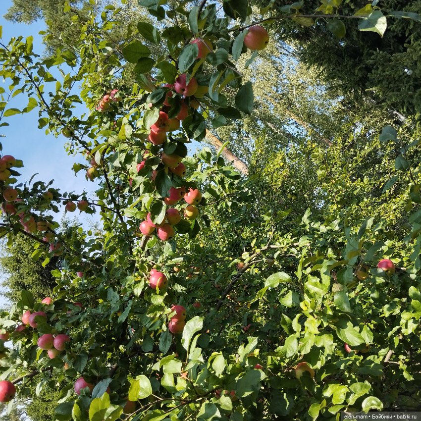 🍁🌼🍂Сентябрьский день🍂🌼🍁 — Куклы Antonio Juan (Антонио Хуан): реалистичные пупсы