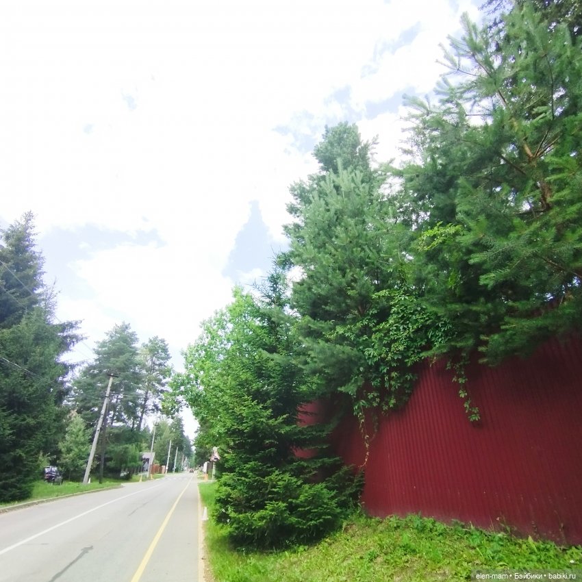 А я иду, шагаю по посёлку✌️😁🌲🌳🌲 (фото 9)