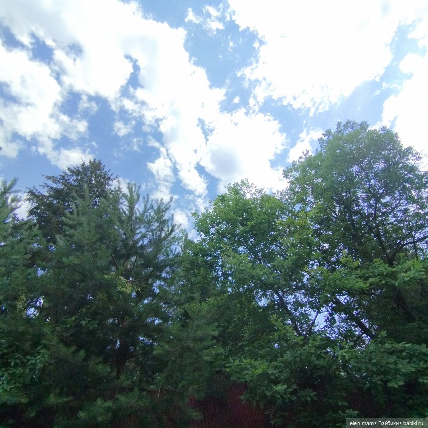 А я иду, шагаю по посёлку✌️😁🌲🌳🌲